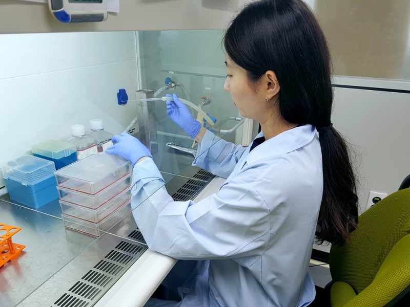 Neue Gentechniken: EU-Länder gespalten über Risiken und Potenzial