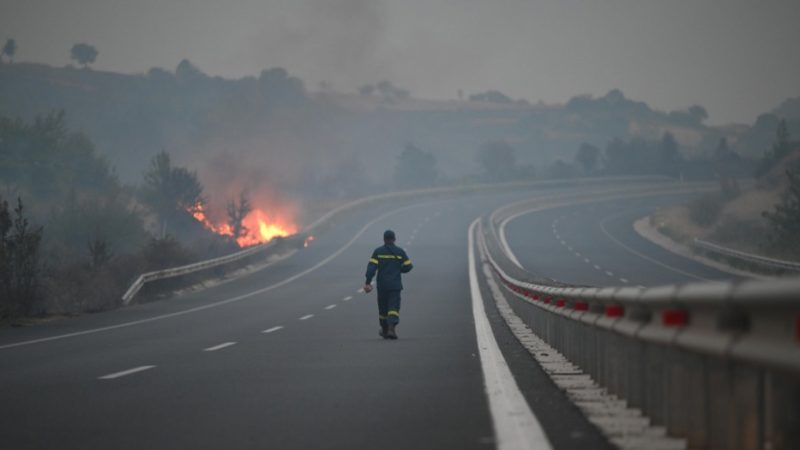Spannungen zwischen Athen und Tirana: Verwirrung über Waldbrand-Hilfe