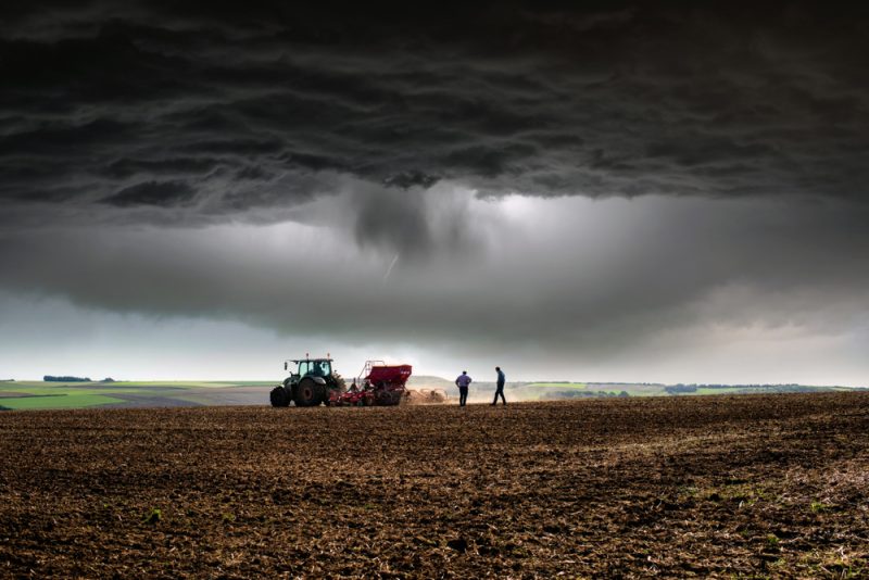 Erntebericht: Landwirtschaft leidet unter Folgen des Klimawandels