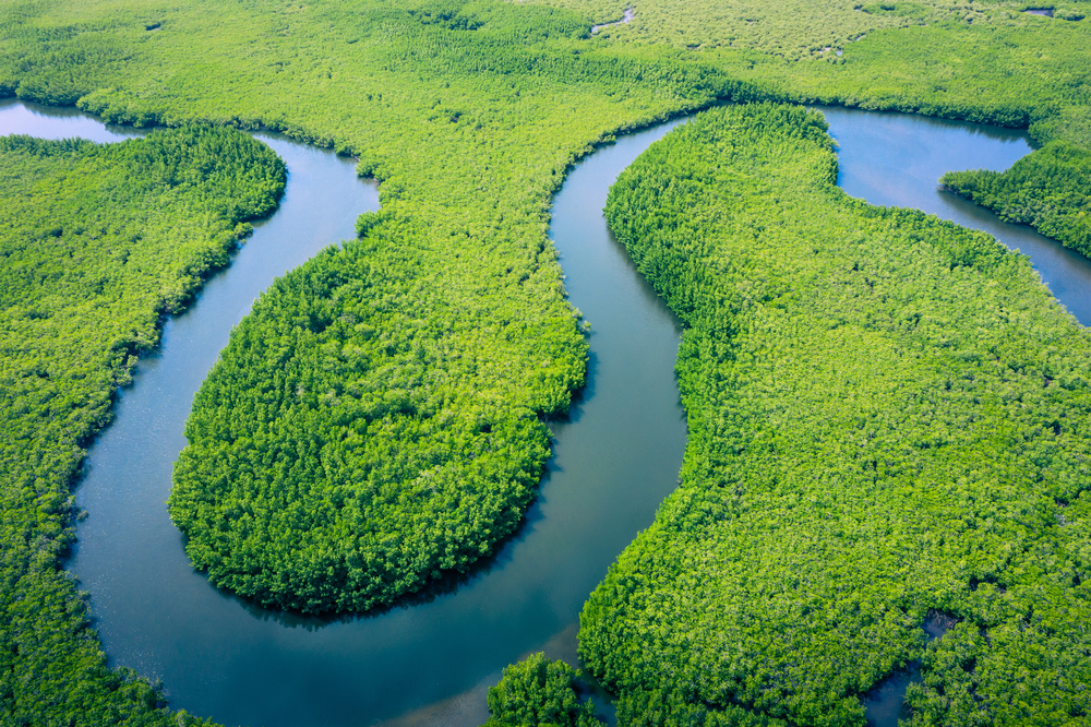 Amazonas-Länder beschließen „ehrgeizige“ Regenwald-Kooperationsagenda