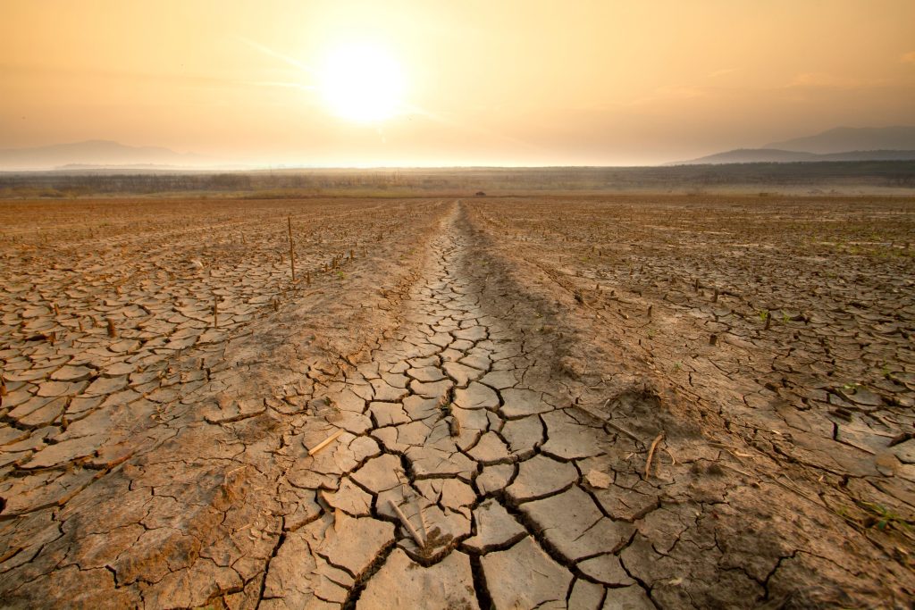 shutterstock_2281928987 (1)-min
