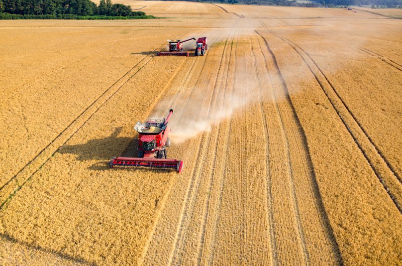 Agrar-Pufferstreifen sorgen für Aufregung in Slowakei