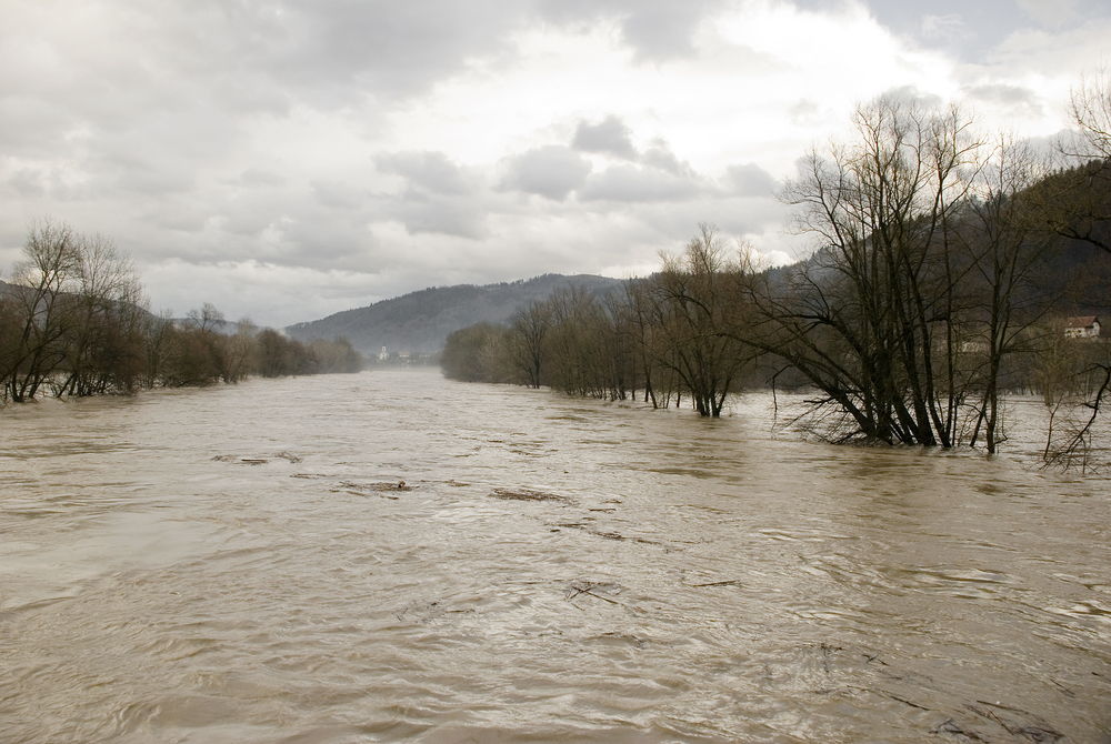 Heavy,Flooding,Of,The,River,Sava,,Slovenia
