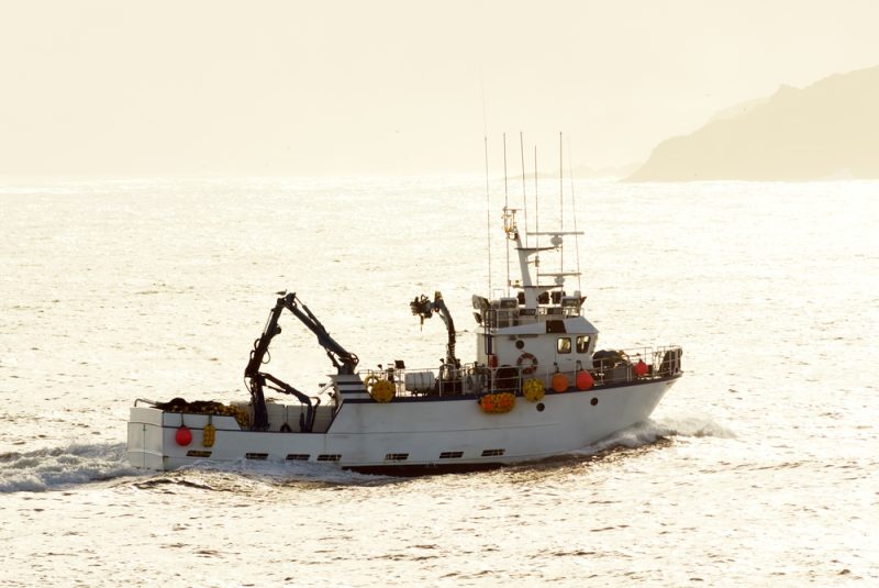 Spanische Fischereibranche wehrt sich erneut gegen EU-Einschränkungen