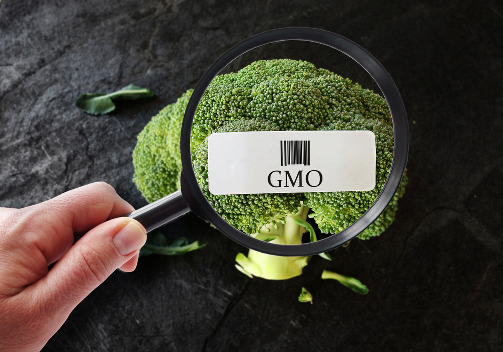 Hand,With,Magnifying,Glass,Examining,Broccoli,With,Gmo,Label