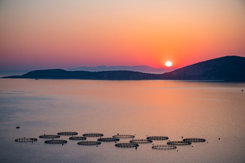 Griechische Inselbewohner kämpfen gegen Ausweitung der Fischzucht