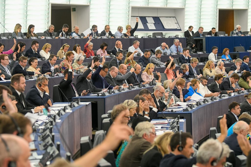 EP-155109B_Plenary_13_Votes