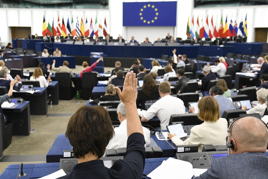 EP-155110D_Plenary_14_Votes