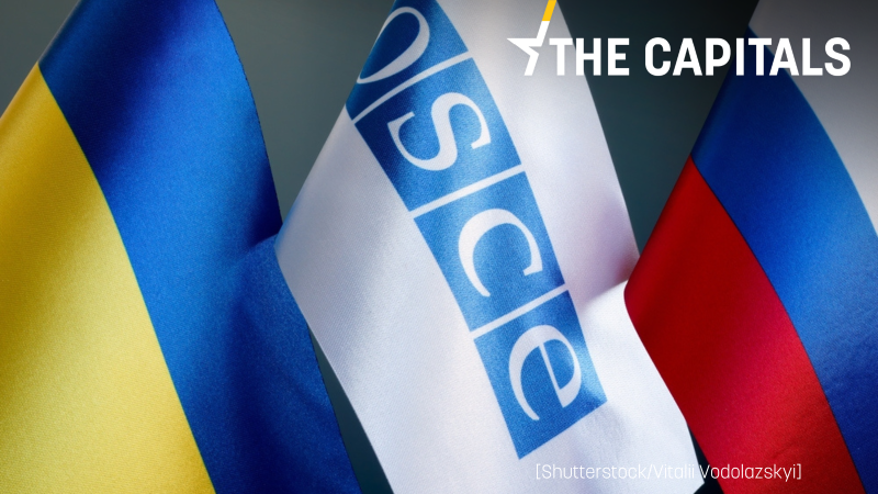 Mitteleuropäische EU-Staaten: OSZE für Dialog mit Russland nutzen