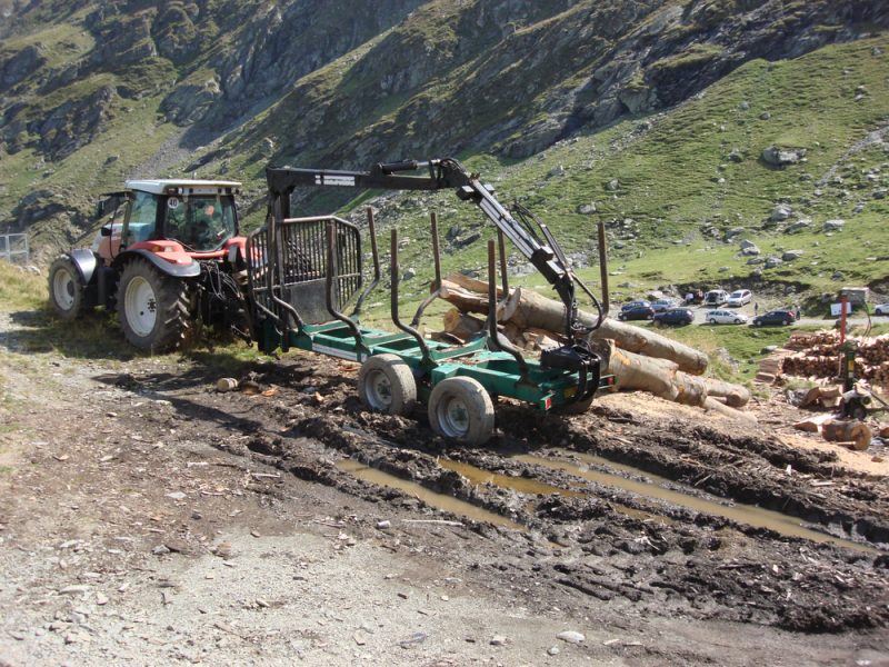 Rumänien: NGOs fordern Moratorium zum Schutz der lokalen Wälder
