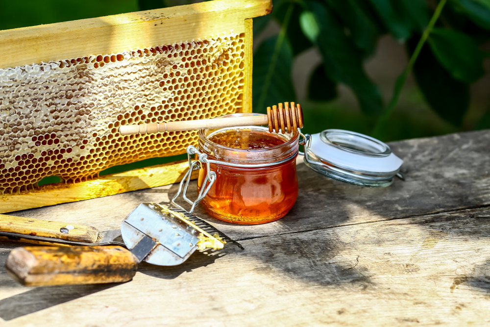 Jar,Of,Fresh,Honey,With,Assorted,Tools,For,Beekeeping,,A