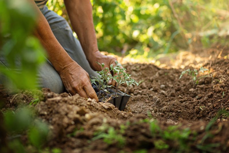 Generationenwechsel: Frankreich will 150.000 neue Landwirte werben