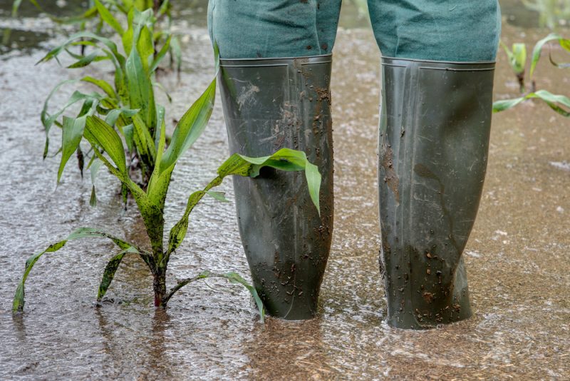 EU-Agrarreserve: Zweifel nach Unterstützung für Slowenien und Griechenland