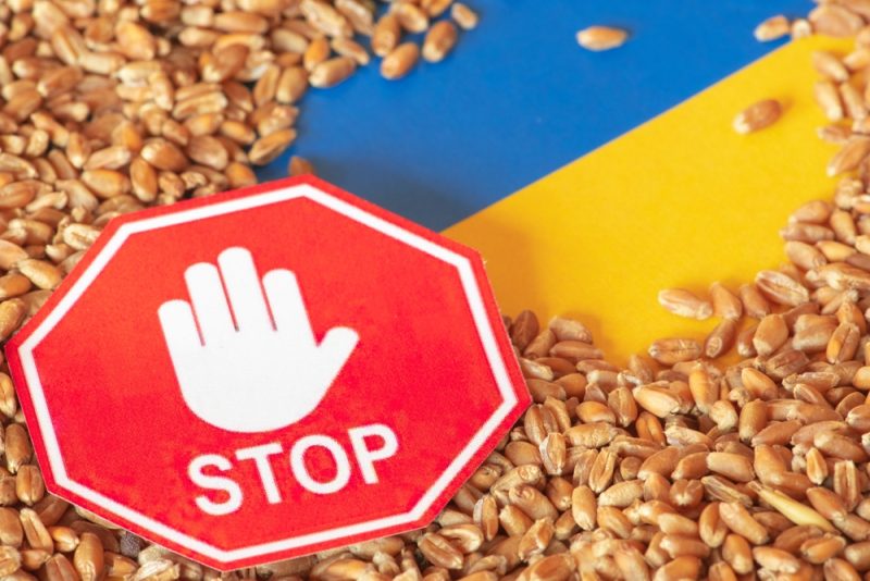 Ukrainischer Weizen birgt wieder politischen Sprengstoff