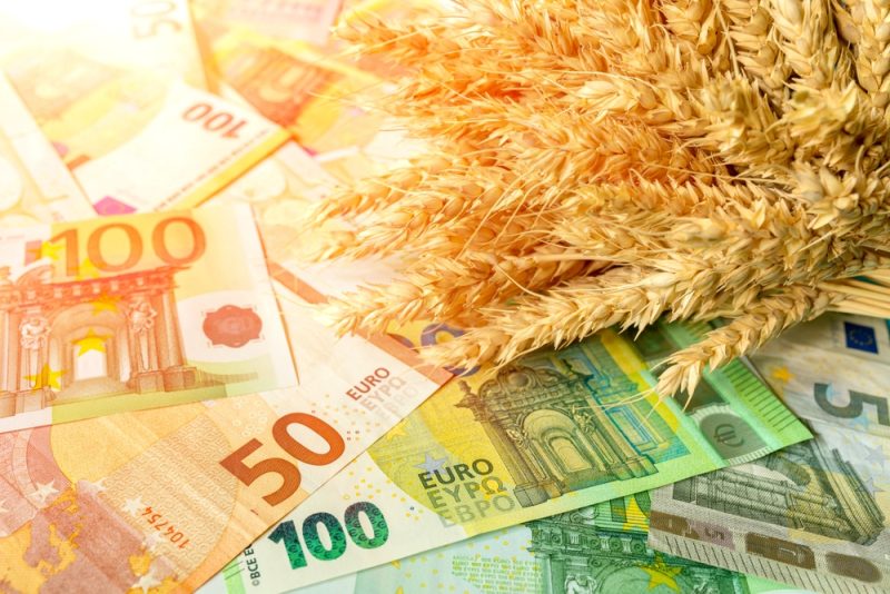 Slowakische Landwirte fürchten trotz Rekordgewinnen Importe aus Ukraine