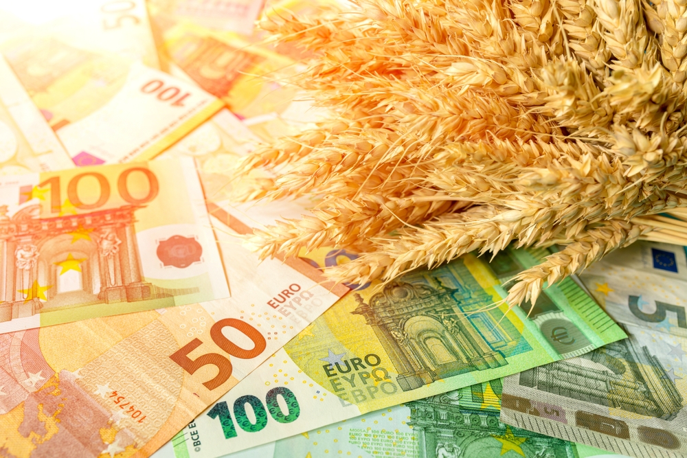 The,Global,Wheat,,Grain,,And,Food,Crisis.,Ripe,Ears,Of