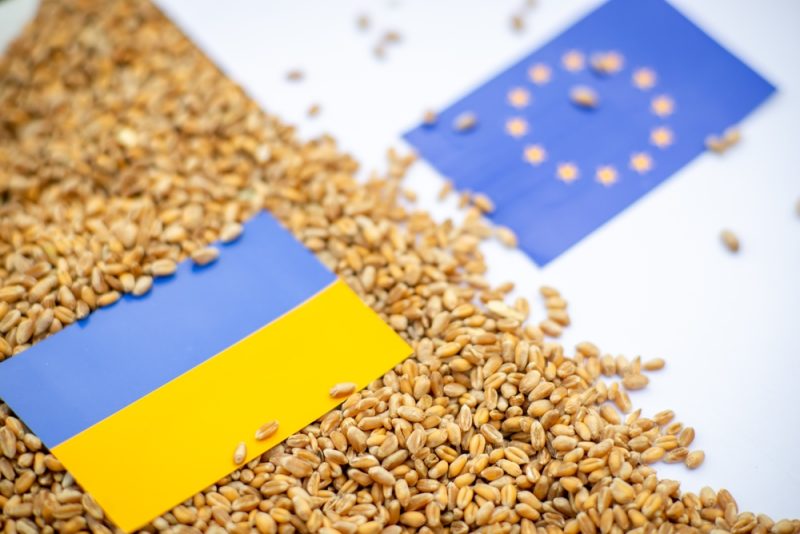 Importbeschränkungen: Ukraine verklagt Polen und Co. bei WTO