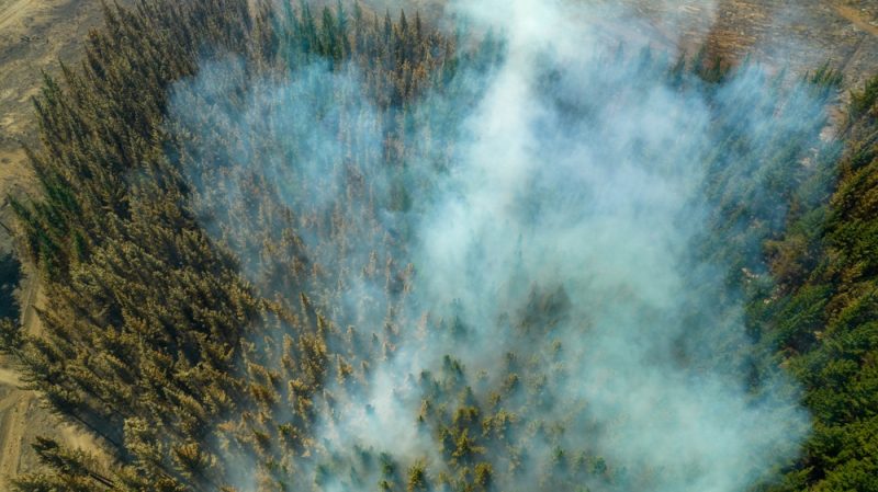 EU-Abgeordnete wollen besseren Schutz vor Waldbränden