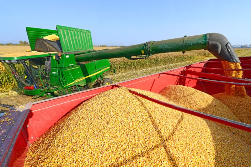 Bulgariens Landwirte drängen auf Verbot ukrainischer Getreideimporte