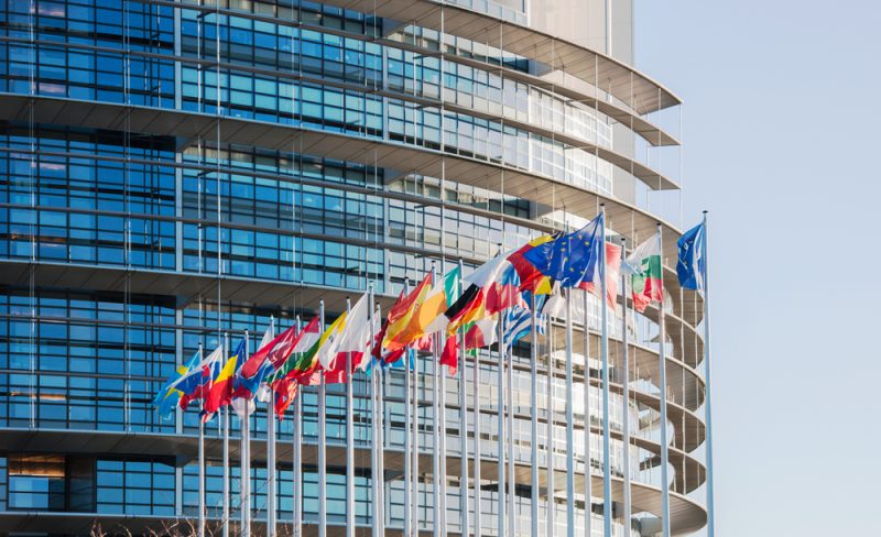 Irlands zwei grüne Europaabgeordnete kandidieren 2024 erneut
