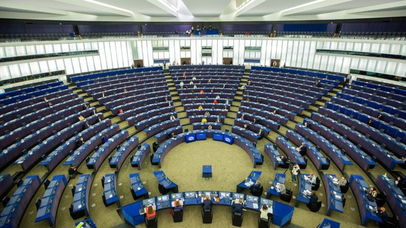 EU-Wahlen stehen bevor: Potentielle Gewinner, Verlierer, Reaktionen