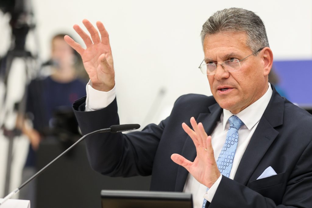 EP-156389A_Hearing_Sefcovic