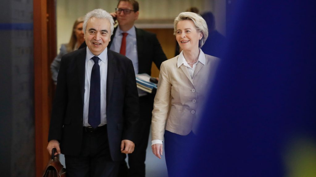 Birol and VDL