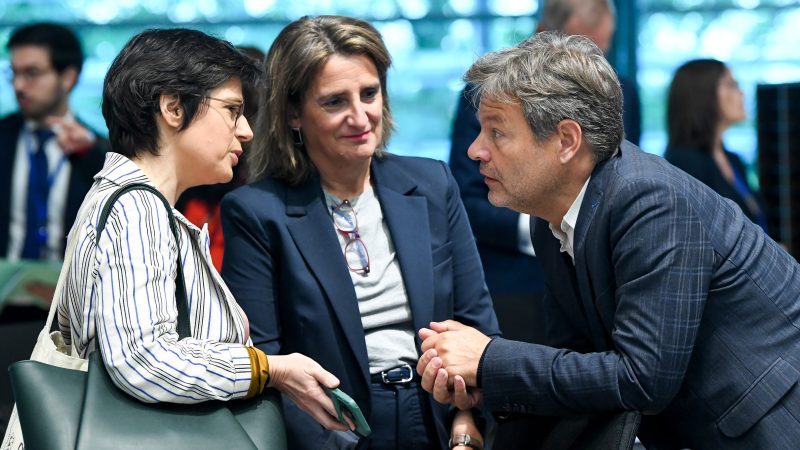 Allianz der Erneuerbaren: EU-Staaten fordern mehr Unterstützung