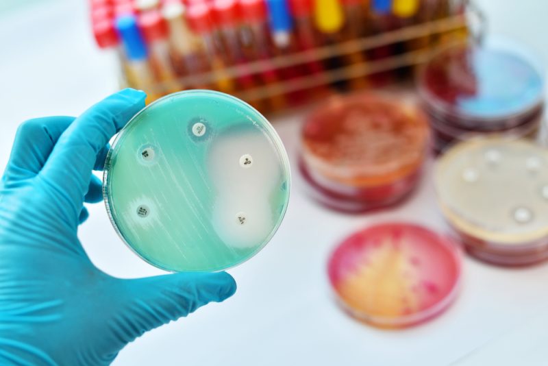 Deutschland soll angesichts alarmierender Antibiotikaresistenzen handeln