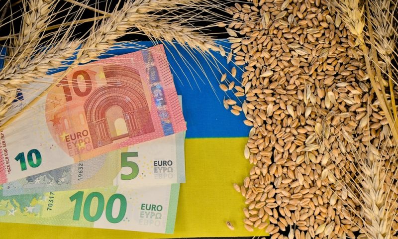 Ukraine sagt Umdenken der EU-Agrarpolitik bei Beitritt voraus