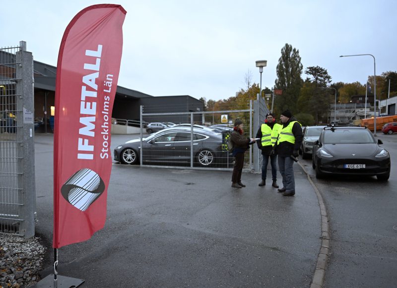 Tesla verklagt Schweden wegen Nummernschildboykott