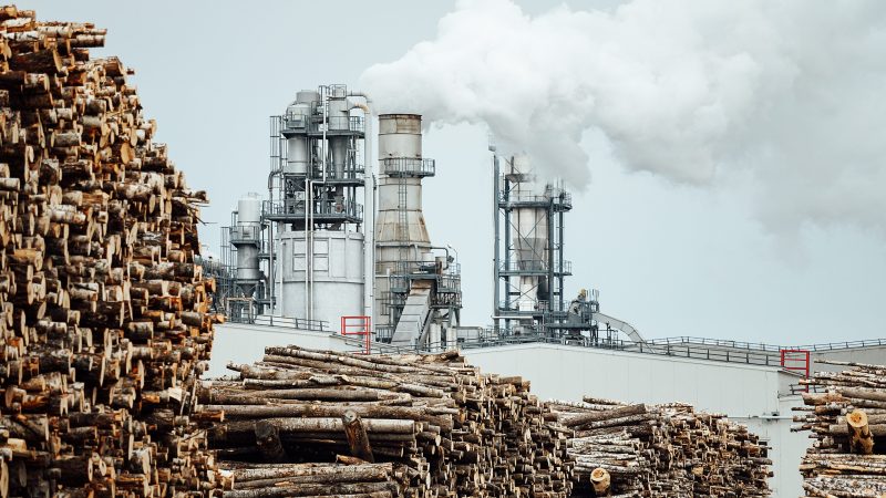 UK verklagt: „Negative Emissionen“ durch Holzverbrennung