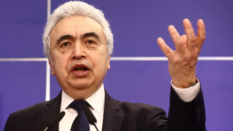 IEA fordert von China mehr Klimaschutz-Anstrengungen