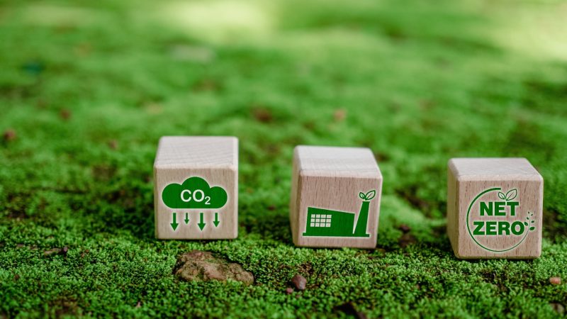 EU-Pläne für CO2-Entnahme als unzureichend kritisiert