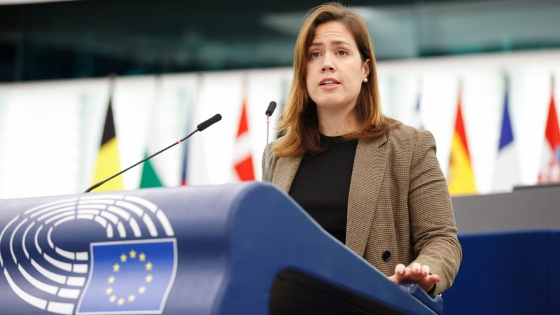 Zertifikate für CO2-Entfernung: EU-Parlament will gegen Greenwashing vorgehen