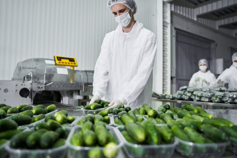 Studie: Nahrungsmittelproduktion in fossiler Abhängigkeit