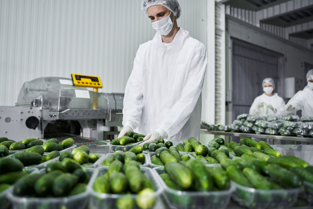 Caucasian,Male,Worker,In,Uniform,Examining,Fresh,Cucumbers,In,Plastic