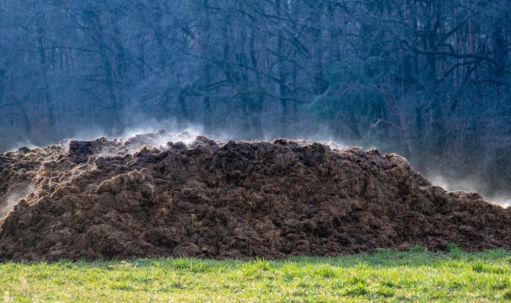 A,Pile,Of,Cow,Dung,As,A,Symbol,Of,Methane