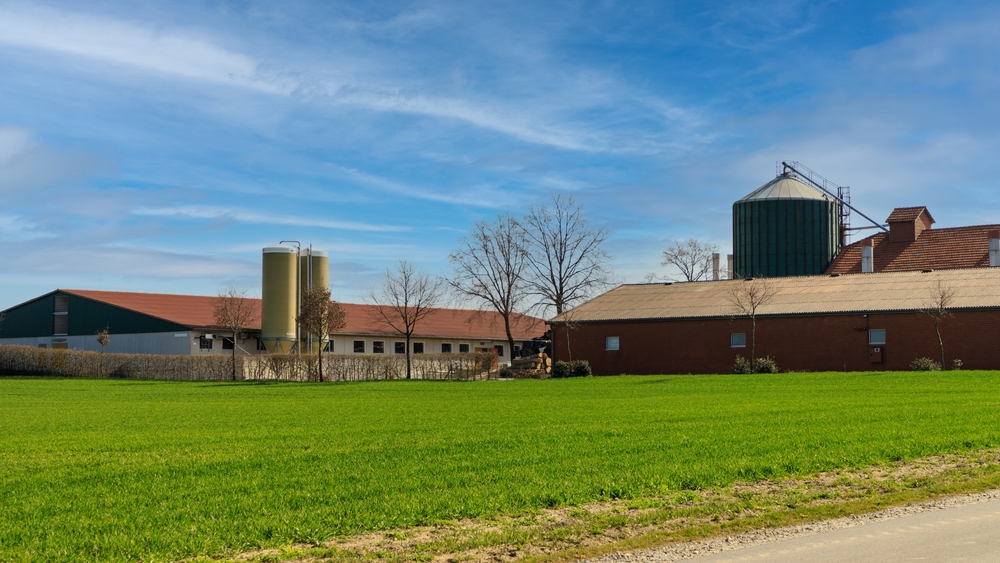 View,On,A,Cattle,Or,Pig,Farm,With,A,Silo