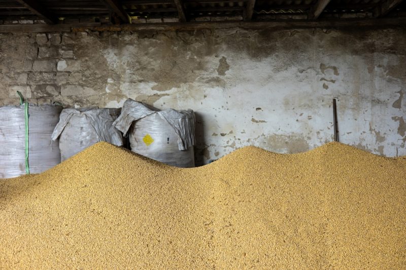 Slowakei weitet Einfuhrverbot für ukrainische Agrarprodukte aus