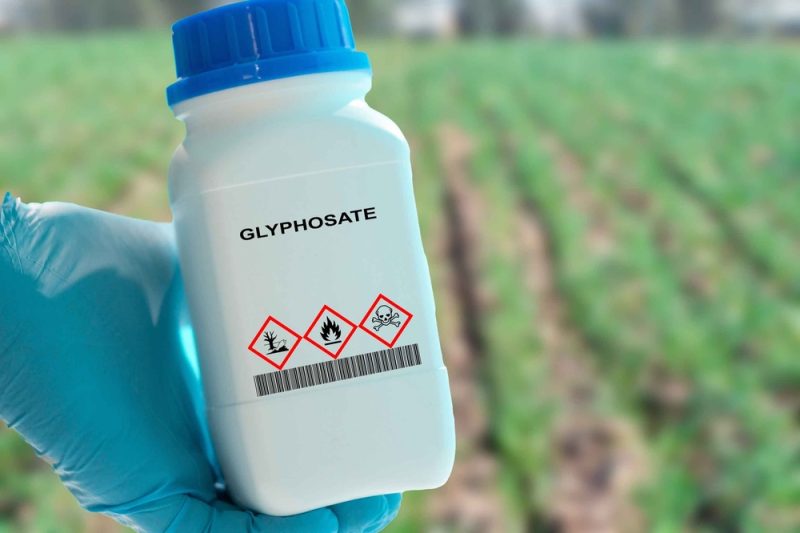 Nach Patt der EU-Staaten: Brüssel verlängert Glyphosat-Zulassung