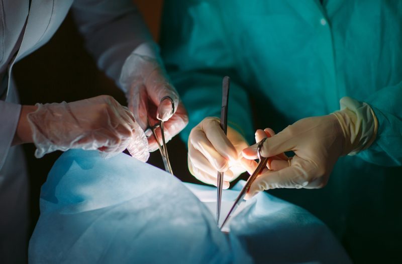 Organspenden: Es mangelt an europäischer Zusammenarbeit
