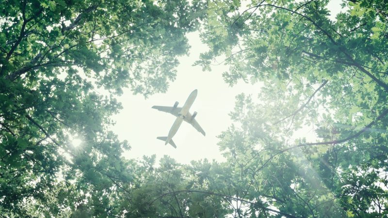 EU-Ziele für grünen Flugkraftstoff: Der Teufel steckt im Detail