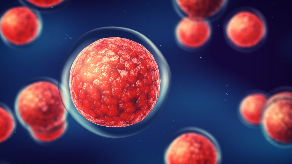 Embryonic,Stem,Cells.,Repairing,Damaged,Cells,By,Reducing,Inflammation,And