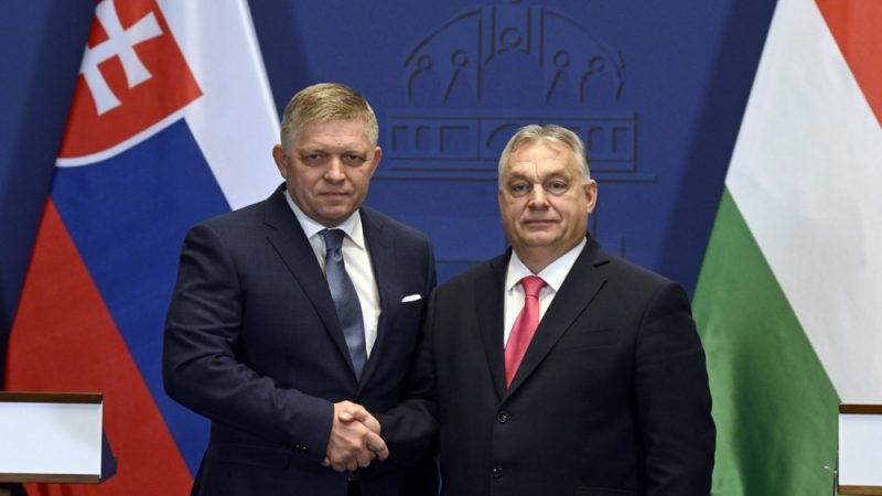 Treffen der EU-Provokateure: Fico und Orbán versprechen sich gegenseitige Unterstützung