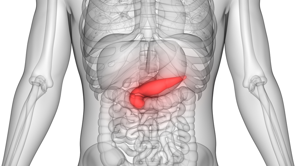 Human,Pancreas,Anatomy.,3d