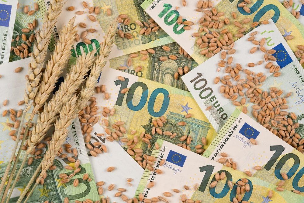 Background,Made,Of,100,Euro,Banknotes,With,Ears,Of,Wheat