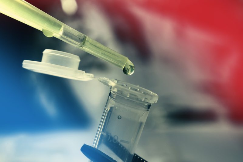 Studie: Darmbakterien können der Schlüssel zu sichereren Stammzelltransplantationen sein