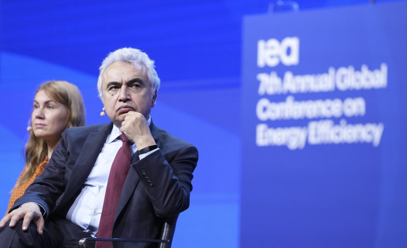 IEA: Europas "bewaffneter Flügel" der Energiewende geht nach Asien