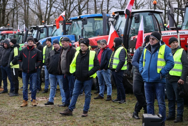 Osteuropäische Landwirte planen gemeinsame Proteste gegen EU-Agrarpolitik